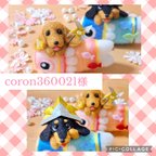 作品 coron360021 様専用  *°•*¨*•.¸♬︎