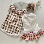 作品《 sora0115bu様 専用❣️》小型犬用 犬服‼︎ ワンピース🍓(サイズオーダー) 2点セット