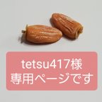 作品tetsu417様専用ページ　1/6サイズミニチュア  干し柿5個