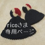 作品ricoさま専用ページ