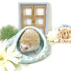 作品ハリちゃんのおやすみベッド（冬用） フラワー ミントブルー / Hedgehog bed for winter