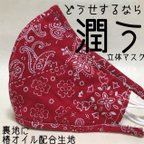 作品どうせするなら潤う立体マスク(綿ペイズリー)