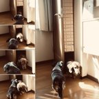 作品【犬道楽(小型犬用)】犬扉　犬トンネル　ドアに犬扉を付けたいあなたに！屋内用　取り付け簡単、工事不要。扉穴開け不要。