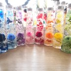 作品1本   🌈人気 ハーバリウム  butterflyAtelier Herbarium　～薔薇庭園～　【ラッピング無料】 