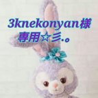 作品3knekonyan様☆専用ページ☆彡.。