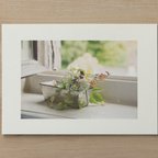 作品「Plant Photography」マーメイド プリント 002