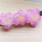 作品ひと枝の桜