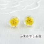 作品ミニサイズ　かすみ草と金箔　ピアス/ノンホールピアス/イヤリング  