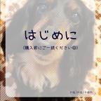 作品ご購入前にご確認ください