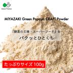 作品〜あれっ、苦くない、むしろ甘い！〜MIYAZAKI Green Papaya CRAFT Powder（40g）