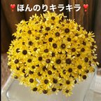 作品ほんのりキラキラ❣️向日葵🌻スターフラワーミニアレンジ加工30輪販売❣️ハンドメイド花材カラードライフラワー