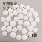 作品新商品　ミニ　白　クラム  シェル　50個　ハンドメイド　素材　東京堂