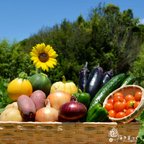 作品《ベジフェス》夏野菜達のお祭りin淡路島 -80サイズ-