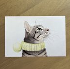 作品猫 ポストカード 2枚セット No.4 『黄色のスヌードのキジトラ猫』