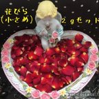 作品小さなミニ薔薇の花びら2gセット（小さめのみ）★花弁ドライフラワー★ミニバラ★