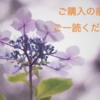 作品△ご購入の前にご一読ください△ 