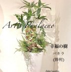 作品リッチな空間づくり｢Artis Phalaeno｣パキラ　光触媒　開店開業，引っ越し、連名の贈り物に