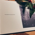 作品 【the tenderness of monochrome】　ZINE