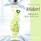 作品『Midori』