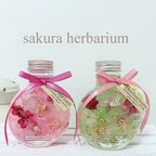 作品春限定 桜のハーバリウム sakura 2本セット プリザーブドフラワー アーティフィシャルフラワー プレゼントにも♡