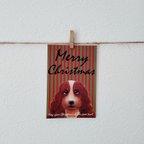 作品犬好きに贈る犬好きのためのクリスマスカード＊3枚セット＊送料込み