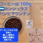 作品コーヒー粉orコーヒー豆100g　バンビマウンテン