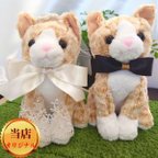 作品【世界に一つ】ウェルカムドール 手作り ねこ ネコ 猫 茶トラ 完成品 2体セット 結婚式 ぬいぐるみ 人形