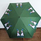 作品アオアシカツオドリ折りたたみ傘