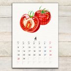 作品トマトのカレンダー2024(A5サイズ)4月始まり