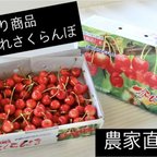 作品※２０人限定　訳あり商品　朝採れさくらんぼ　１キロ　※売り切れたらこちらからキャンセルさせていただくことになります。