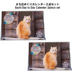 作品【2点セット】さち日めくりカレンダー（Island Cats Sachi Day to Day Calendar 2piece set）