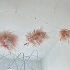 作品flying wreath " Anya "  フライングリース パンパスグラス  ピンク 春色 ドライフラワーリース