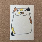 作品【ポストカード】（49）ねこだるま R