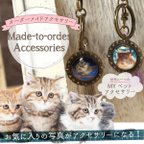 作品ペットの写真でオーダーメイドアクセサリー（2cmチャーム）