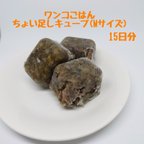 作品犬のごはん　手作りごはん　キューブ　ワンコごはん　犬用品