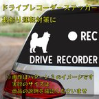 作品秋田犬　ドライブレコーダーステッカー 【dr039】