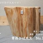 作品【現物のみ/送料無料】青森ヒバの大きな丸太No.10