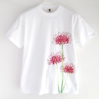 作品彼岸花柄Tシャツ ホワイト 手描きで描いた彼岸花柄Tシャツ 曼珠沙華 秋 白