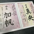 作品フレーム付き命名書（桜）