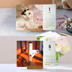 作品早期予約特典付き12月5日まで 「お姫のににこちゃんカレンダー」　2024年卓上カレンダー 木製スタンド付き  姫猫　猫カレンダー　