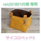 作品ran20180105様専用 サイコロベット9