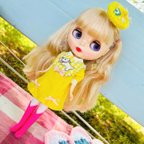 作品○受注生産○Blythe outfit ꔛ♥テリアちゃんワンピースꔛ♥supipi39