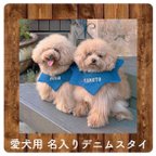 作品小型犬用 お名前刺繍入り デニムスタイ