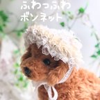 作品ふわふわレース盛り盛りボンネット《ホワイト》　ビーズ刺繍ヘアアクセ　ヘッドドレス　犬猫アクセサリー　結婚式　フォトウェディング　前撮り　うちの子