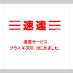 作品速達サービス　300円