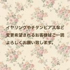 作品イヤリングやチタンなど変更について