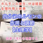 作品医療系学科定期試験、国家試験対策シリーズ【内分泌系ホルモン】まとめ資料