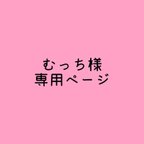 作品むっち様専用ページ𓅪小さくて可愛い保冷ポーチ𓅪