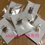 作品【オーダーメイド】akaneko-a様専用