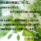 作品🌹最新号☆イスラエルJBB社製品　仕入れ価格高騰について。・。・